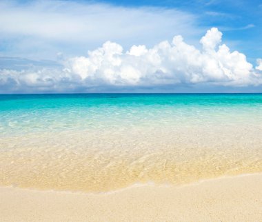 plaj ve tropikal deniz