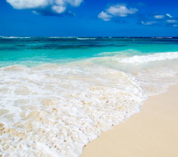 Playa azul del mar del Caribe —  Fotos de Stock