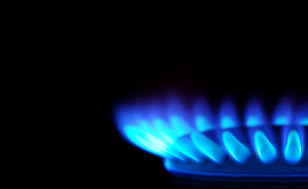 Blaue Flammen eines Gasherdes — Stockfoto