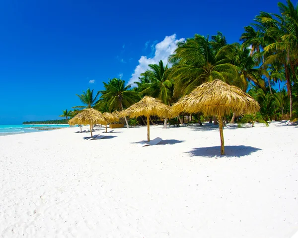 Tropisch strand — Stockfoto