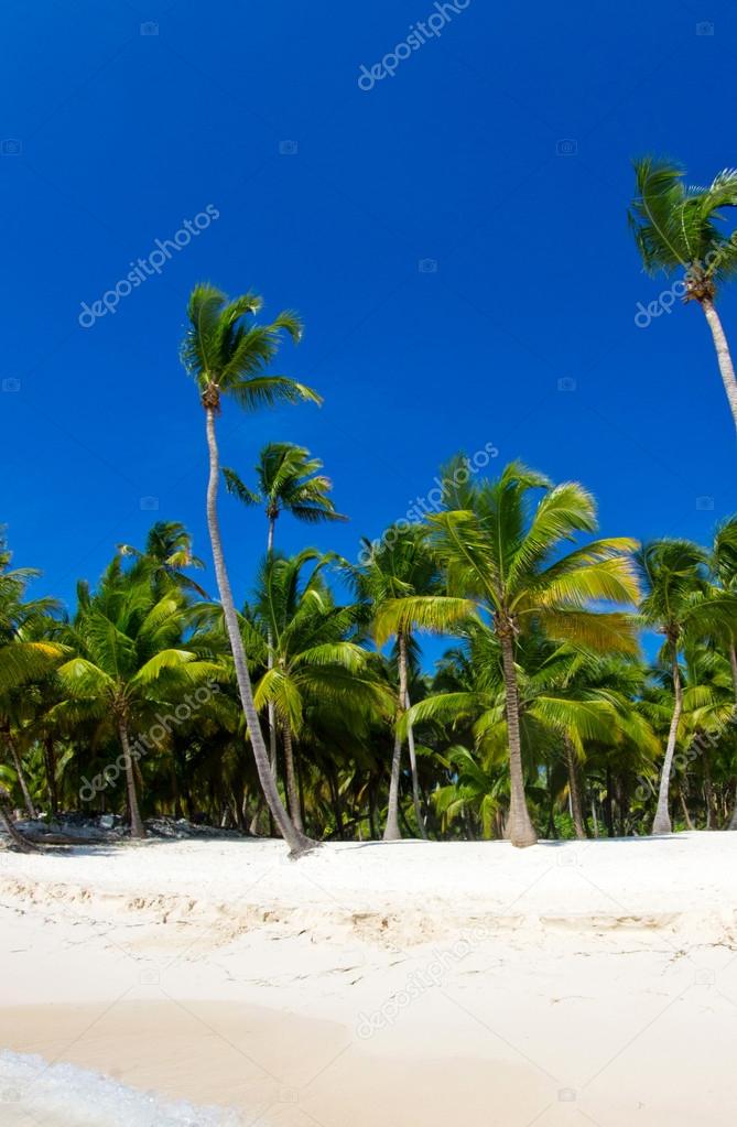 Beach and tropical sea