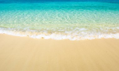 plaj ve tropikal deniz