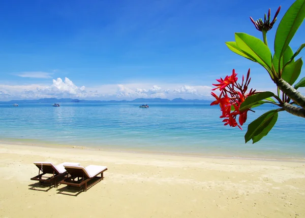 Praia e mar tropical — Fotografia de Stock