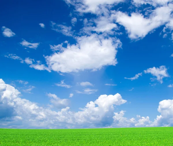 Veld en blauwe lucht — Stockfoto