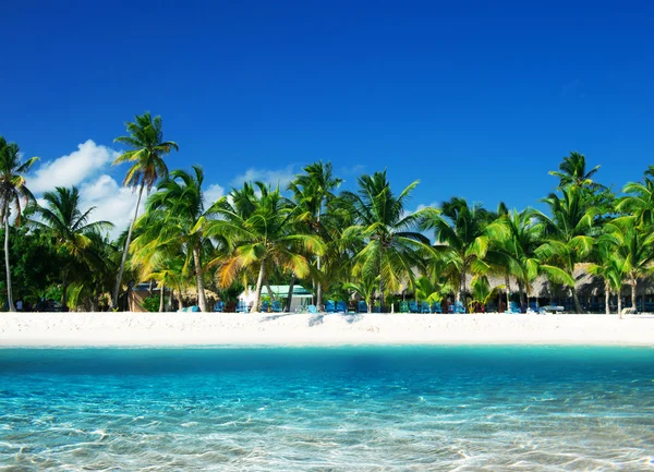 Playa tropical — Foto de Stock