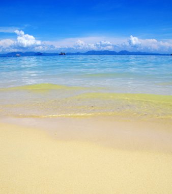 plaj ve tropikal deniz