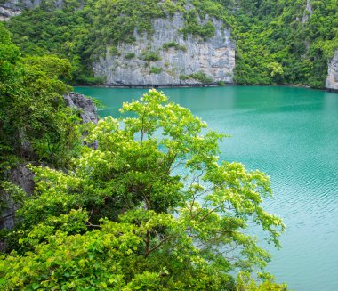 'Talay Nai' adında bir göl.