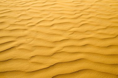 Altın Çölünde kum dokusu