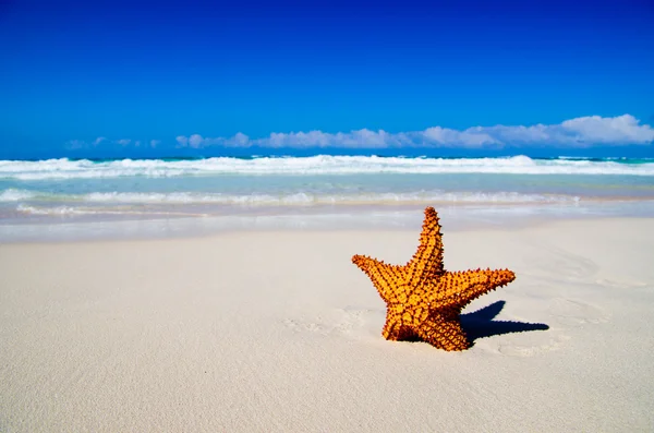 Playa y paisaje marino — Foto de Stock