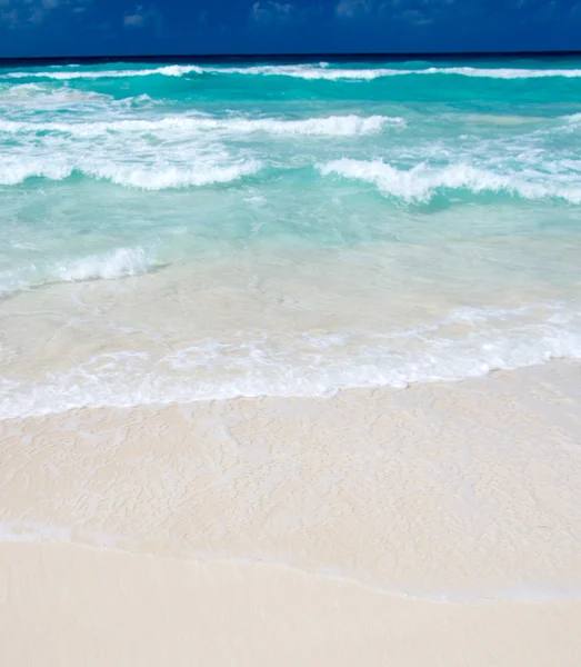 Tropical sea — Stock Photo, Image