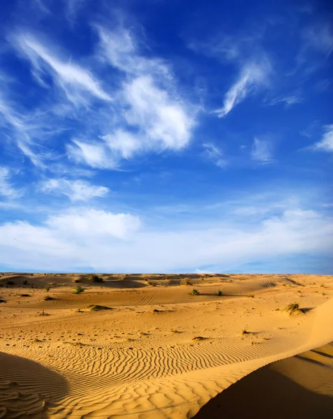 Paisagem do deserto — Fotografia de Stock