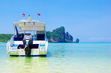 Her ve tropikal deniz