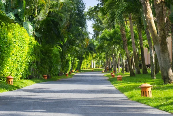 Sentiero giardino con erba — Foto Stock