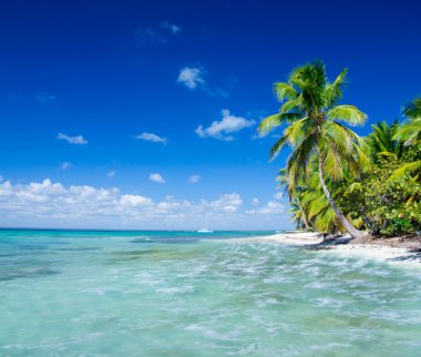 plaj ve tropikal deniz