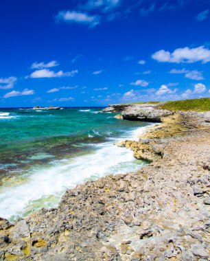 plaj ve tropikal deniz