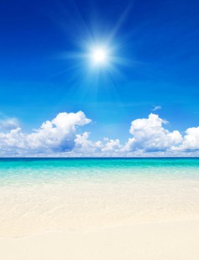 plaj ve tropikal deniz