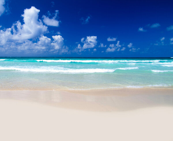 Beach and tropical sea