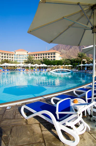 Piscina con palme da cocco — Foto Stock