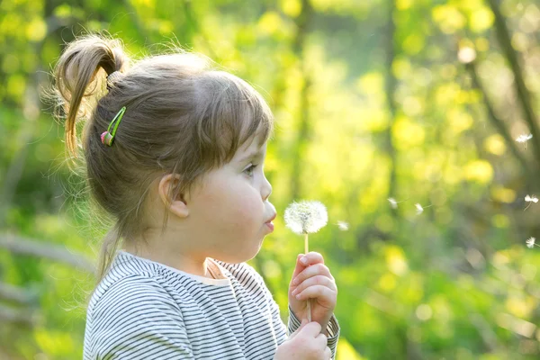 Child girl blowing flowers — Stock Photo, Image