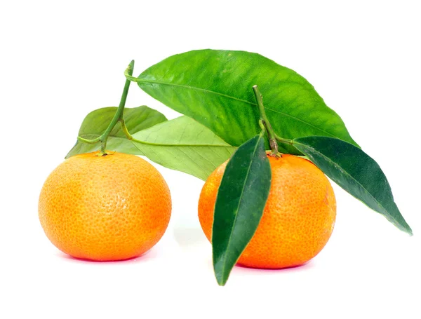 Fresh  tangerine — Stock Photo, Image