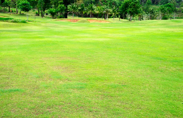 Terrain de golf vert — Photo