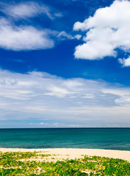 海と熱帯の海 — ストック写真