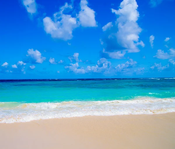 Strand und tropisches Meer — Stockfoto