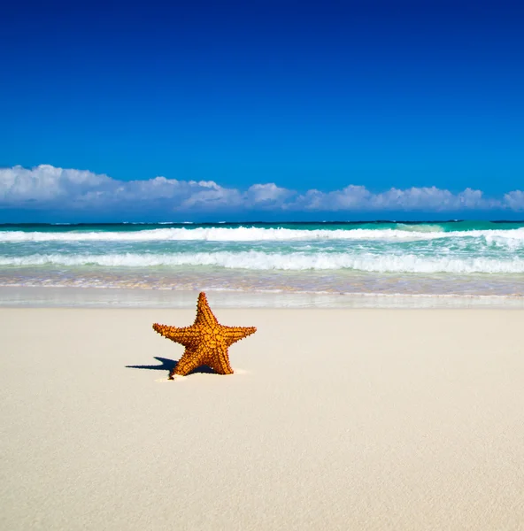 Beautiful tropical sea — Stock Photo, Image