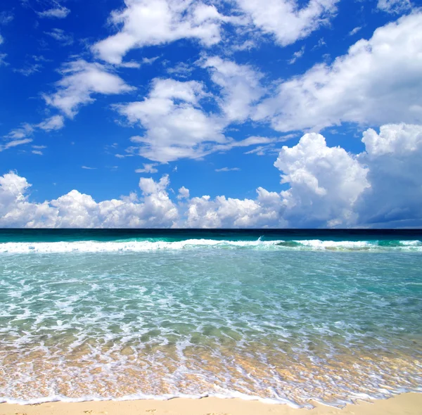 Playa y mar tropical — Foto de Stock