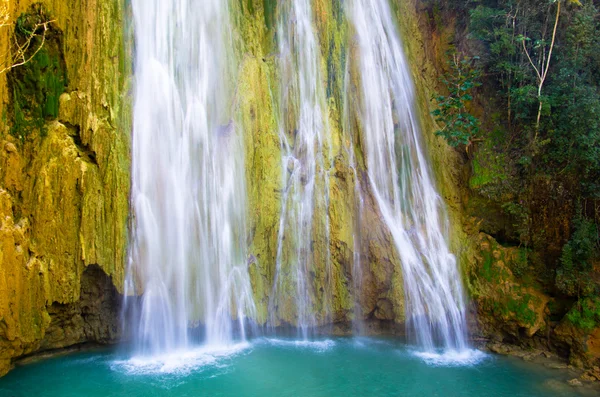 Waterfall in  green forest — Stock Photo, Image