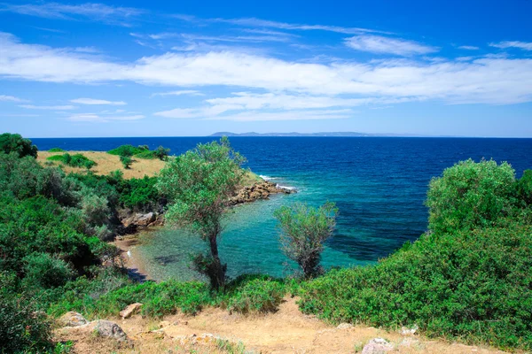 Plaj ve tropikal deniz — Stok fotoğraf