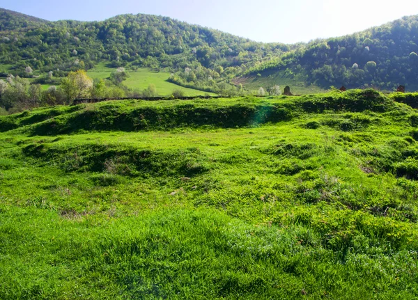 Groen landschap met bergen — Stockfoto