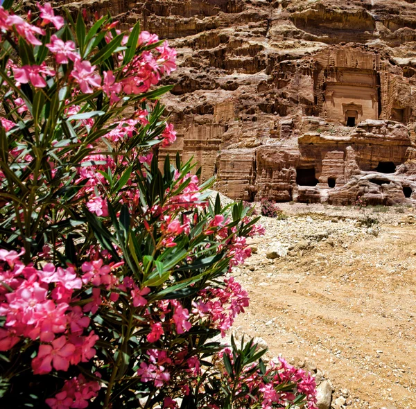 Petra Jordan — Stock Photo, Image