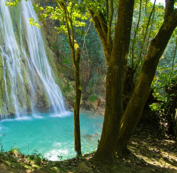 Cascada en el bosque — Foto de Stock