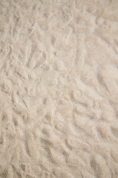 Коралловый песок
