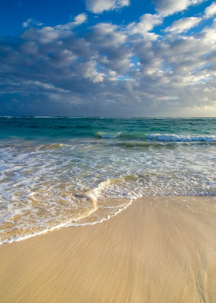 Karayip Denizi beach — Stok fotoğraf