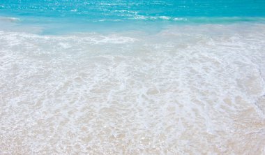 plaj ve tropikal deniz