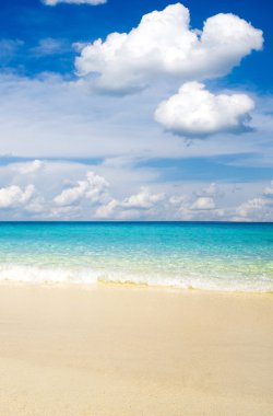 plaj ve tropikal deniz