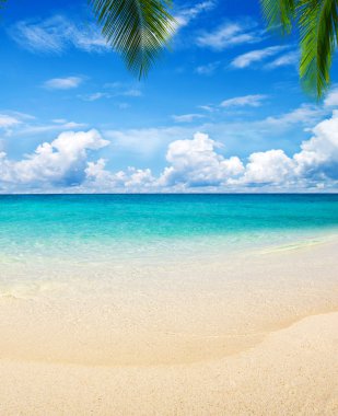 plaj ve tropikal deniz