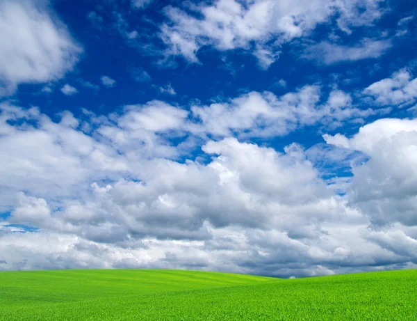 Feld und blauer Himmel — Stockfoto