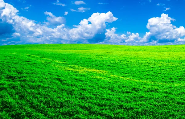 Campo y cielo azul —  Fotos de Stock