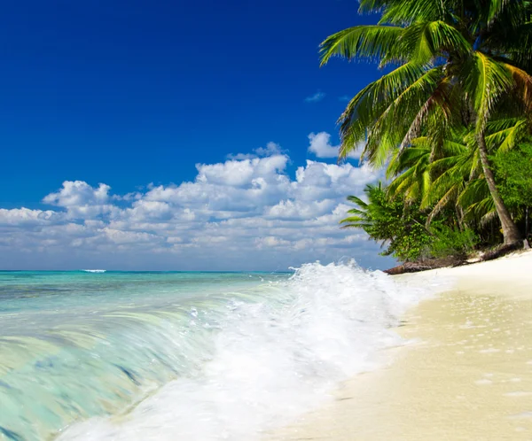 Playa y mar tropical — Foto de Stock