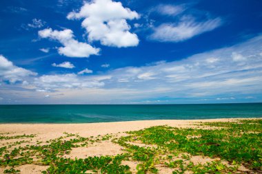 Deniz plajı ve mavi gökyüzü