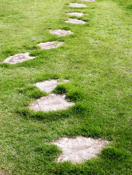 Garden stone path — Stock Photo, Image