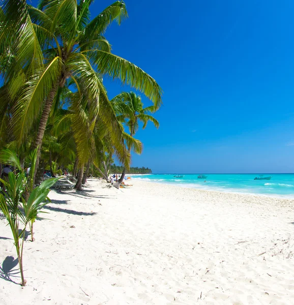 Mare tropicale — Foto Stock