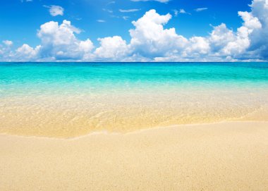 plaj ve tropikal deniz