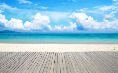 plaj ve tropikal deniz