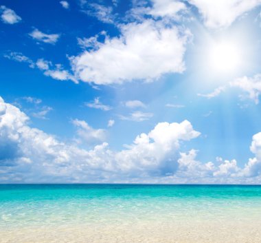 plaj ve tropikal deniz