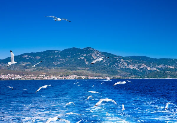 Beach and tropical sea — Stock Photo, Image