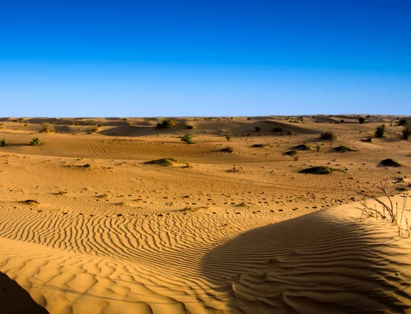 Paisagem do deserto — Fotografia de Stock